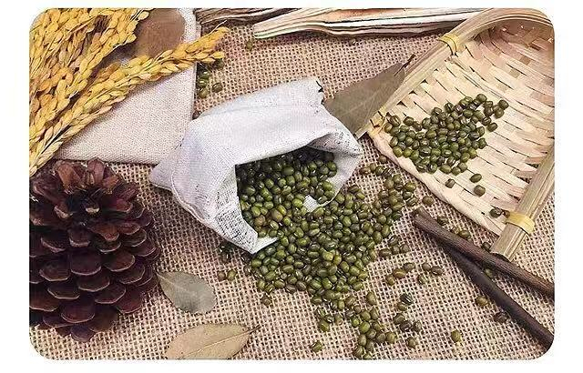 Hoa khô tự nhiên, lá khô, hoa trang trí, thực phẩm, thực phẩm, hình ảnh, đạo cụ hình ảnh, trái cây khô, nhiếp ảnh, đồ trang trí trang trí - Trang trí nội thất decor nhà