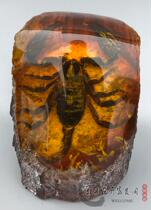 Amber beeswax raw stone Wormwood ornaments real scorpion specimens crafts office living room ornaments Bug specials