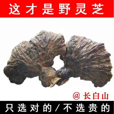 Wild Ganoderma lucidum natural Changbai Mountain Northeast Linzhi spore powder pruned basswood 250g Ganoderma lucidum