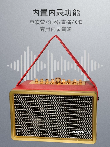 Sound Partner K8 Saxophone Blowing Pipe Erhu Accompanent Instrument Special Audio Outdoor Внутренняя запись в прямом эфире