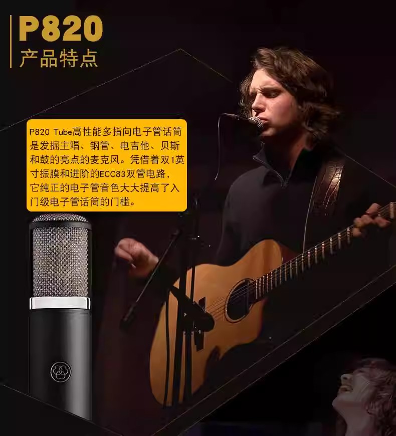 AKG/爱科技 P820 Tube插图2