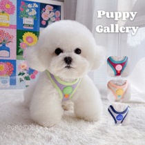 Korean Puppy Gallery a Contrasting Chest Traction Small Medium Large Dog Vest Dog Walking Rope Bear