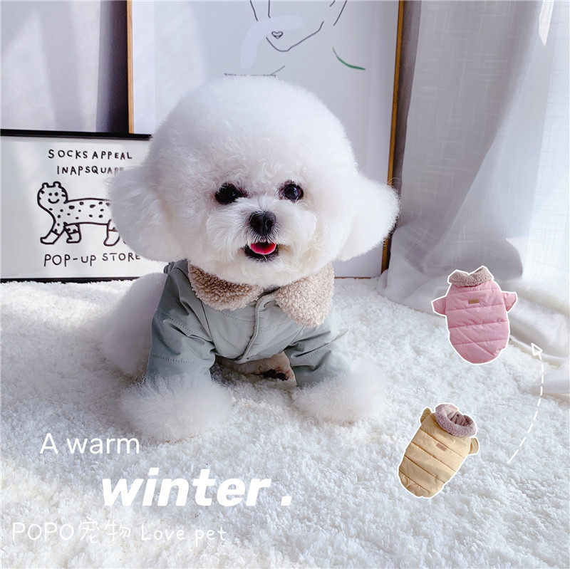 Healing Lapel Cotton Clothes ~ Puppy Cat Pet Clothes Winter Cotton Jacket Thickened to Keep Warm Teddy Bixiong Bomei