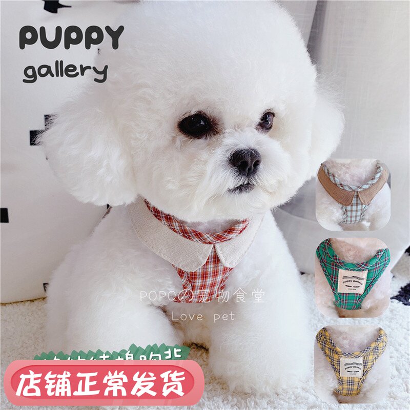 South Korea Puppy Gallery walking dog out of chest and baby bag kitty Puppy large canine vest type chest back