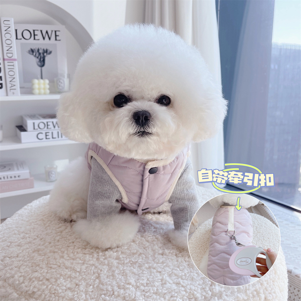 Pet dog dog cat small dog autumn cotton cotton coat with traction button to keep warm and warm than bear teddy