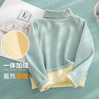 Plel of Velvet Cat Eagle Bean Green