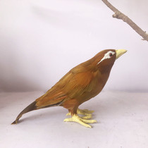 Animal model simulation thrush starlings bird feathers Magpie headdress photography props toys garden decoration ornaments