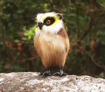 Animal model simulation owl bird handicraft pet toy photography props scene decoration ornaments
