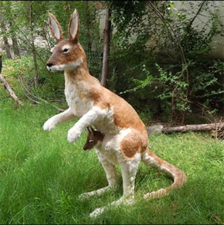Set For Animal Model Simulation Kangaroo Large Animal Fur Handicrafts Photography Props Garden Decoration Pendulum