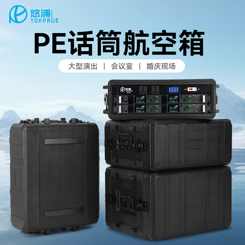 Youpu 3U Pe Microphone Case Pe Case Wireless Microphone Flight Case Microphone Case Abs Plastic Case