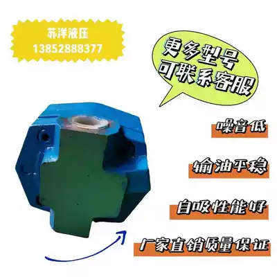 Gear pump Hydraulic oil pump BB-B40N BB-B50N BB-B63N leakage Cycloid gear oil pump