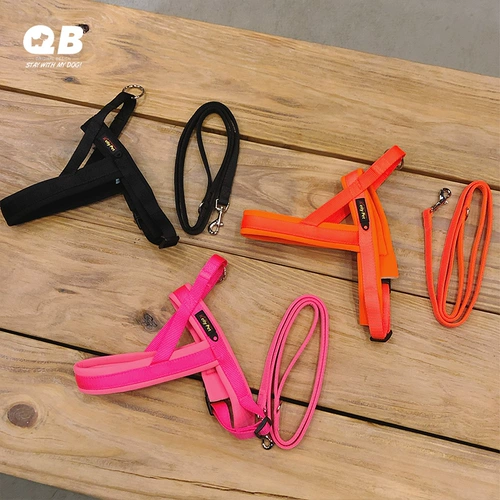 QB Шерри Тедди Шиба Ину Рука Глав