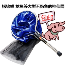 Shenxian net Koi dragon fish fishing net semi-permeable fairy net farm fish fishing net 30MM 50MM