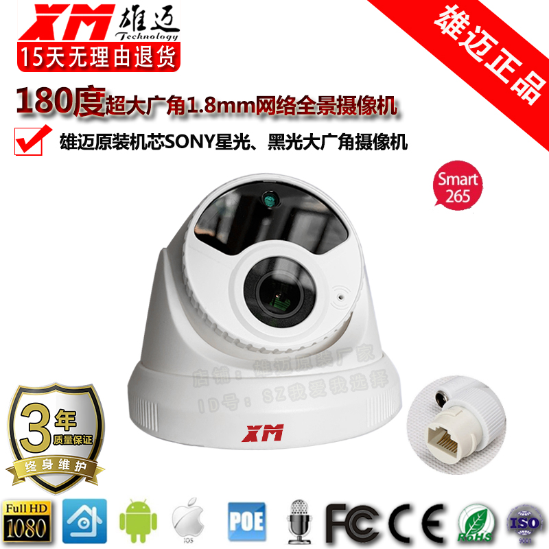 HD surveillance dual lights 2 million audio POE hemispheric indoor unit 180-degree wide-angle lens panoramic camera