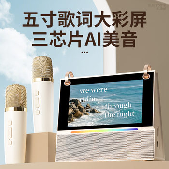 Home Microphone Karaoke Speaker Small Speaker with Lyrics Microphone All-In-One with Display Screen for Home Outdoor Singing Ktv