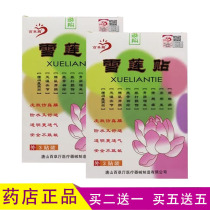 Parathusa Hall Snow Lotus Patch Waist Leg Rheumatic Joint Scion Nerve Lumbar Cervical Shoulder Pain Black Plasters Snow Lotus Cold Compress Patch