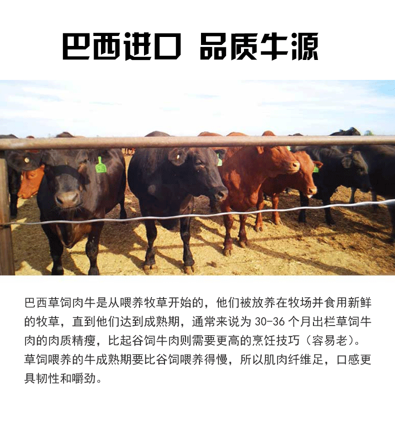 庄野牧场 澳洲进口 安格斯牛腩块  3斤 非腌制 整切0添加 图6