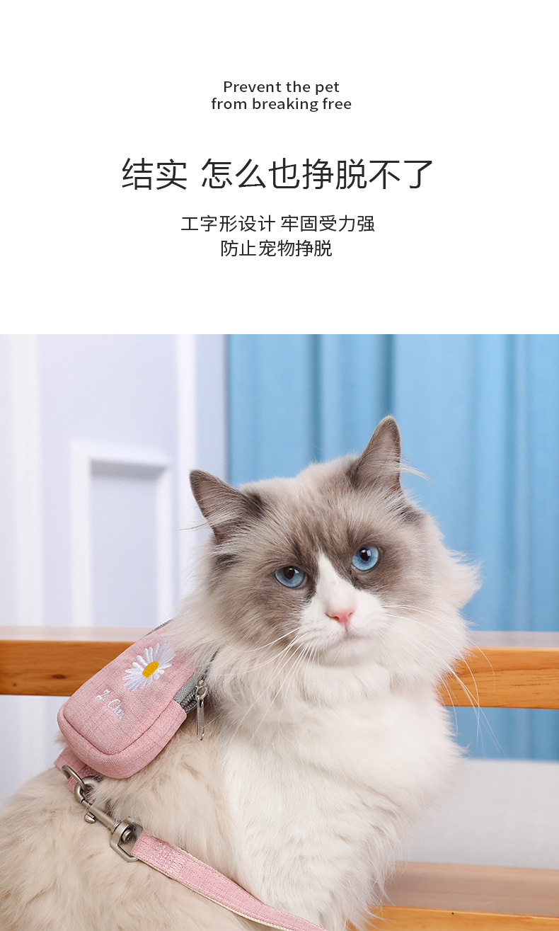 狗狗牽引繩貓咪狗狗專用牽引繩背包繩溜貓神器防掙脫繩外出胸背帶牽引遛貓繩 Yahoo奇摩拍賣
