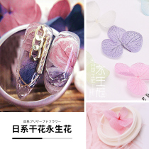 Nail Polish glue 2021 new fashion color Japanese Net red nail jewelry dried flower forever flower nail shop tool set