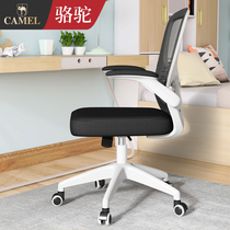 Camel computer chair home comfortable bedroom dormitory lazy e-sports chair sedentary waist protection office chair single back chair