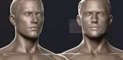 Precise wiring, reasonable and accurate topology, high-end zb male and female characters, basic figures, naked model 3D model