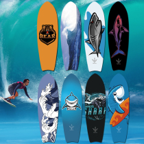  RARE ANT Professional PLUS maple land surfboard Surfboard board surface Fish board skateboard board surface