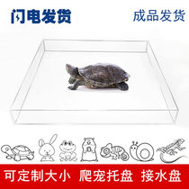 Creek Tank Water Resistance Disk Crusade Tortoise Water Disk Customized Basin