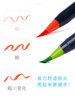 Japanese Sakura Nara Pen Artist Soft Tip Watercolor Pen Set 20 Colors 30 Colors Washable Art Student Special Watercolor Painting Tools Colorful Paintbrushes Colored Brush Pens for Journaling Soft Brush Ink Painting Pens