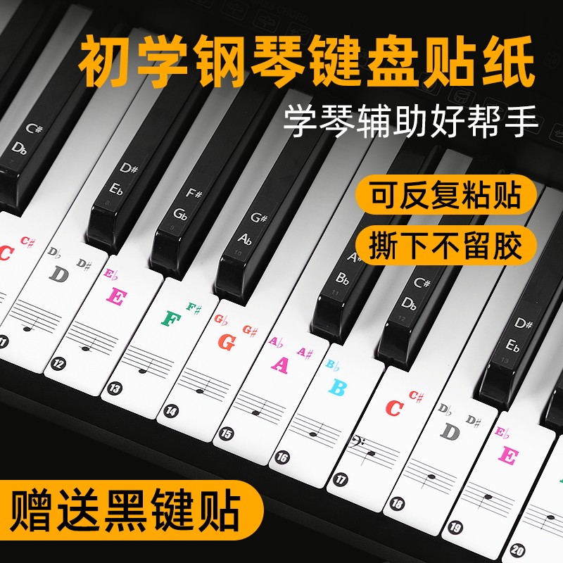 钢琴彩色88/61/49/37键盘贴纸  透明贴纸五线谱电子琴简谱音符键