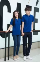 Высокая модель тибетского синего 