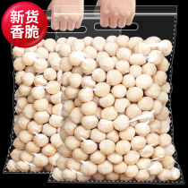 Macadamia nuts 500g New creamy nuts shell-free baked dried nuts pregnant women casual snacks bagged