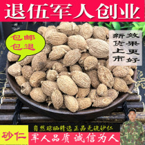 Chinese herbal medicine sulfur-free Amomum villosum 500g sulfur-free Amomum villosum Yangchun Amomum villosum rice dried Amomum villosum fruit soup