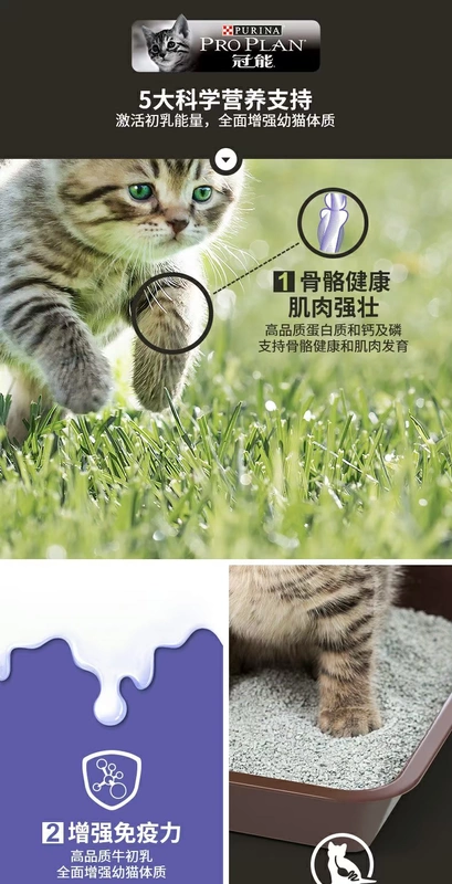 Thức ăn cho mèo Guanneng 400gx2 bánh sữa giá đầy đủ cho mèo Anh mèo tai ngắn thời kỳ cai sữa vỗ béo thức ăn chủ yếu để gửi thức ăn ướt - Cat Staples