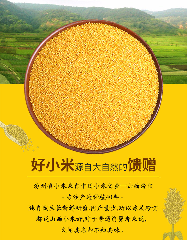 山西黃小米農(nóng)家雜糧粗糧米孕婦月子新米