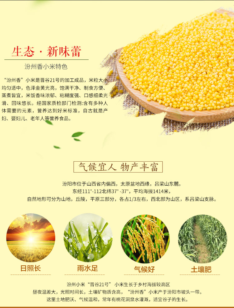 汾州香 21新米 山西汾州黄小米 5斤 熬出的米油称代参汤 图11