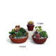 Home gardening supplies breathable ceramic succulent flower pot cartoon flower pot simple modern ceramic flower pot