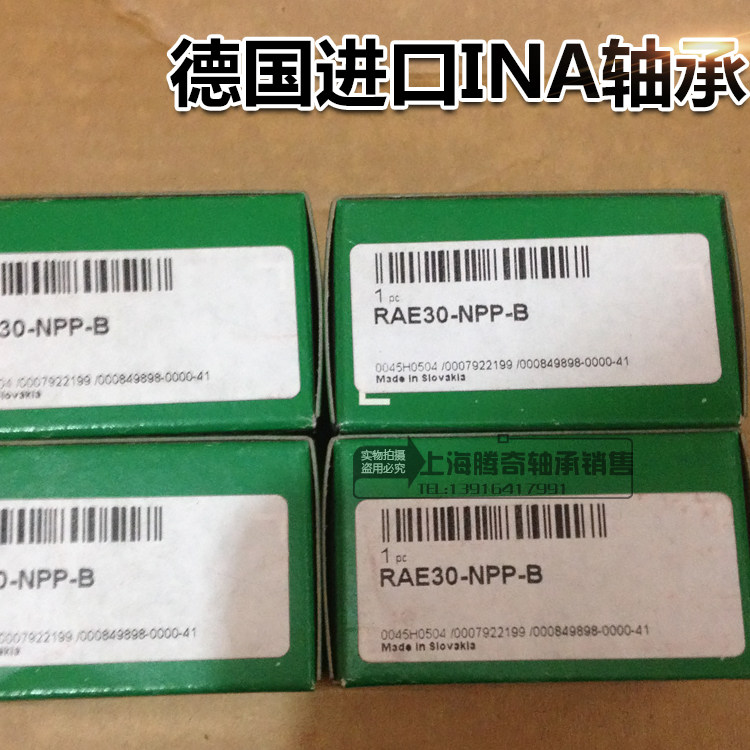 RAE GRAE15 17 30 20 25 35 40 45 50 60NPPB imported INA outer spherical bearings