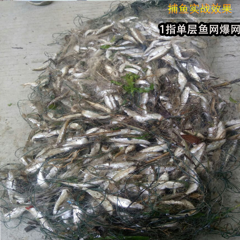 Single layer of small fish sticky net small eye silk screen hanging subnet dining strips Moral sluice net floating nets small white strips of fishnet fishing nets