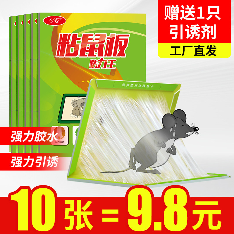 10张粘鼠贴家用抓大老鼠贴