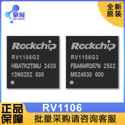 RV1106G2RV1106G3 칩 고도로 통합 된 팔 Universal Soc IPC의 새로운 비주얼 오리지널