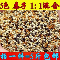 Tiger skin peony Xuanfeng small and medium-sized parrot bird food feed five-color millet parrot mixed nutrition grain millet