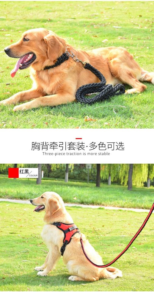 Dây xích chó Teddy Golden Mao Samoyed chuỗi chó con mèo và chó cần thiết hàng ngày 	bát đựng thức ăn cho chó	
