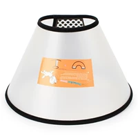 Прозрачный