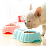 Кошачья чаша, собачья миска кошка горшок с автоматической питьевой водой бассейн кошачья бассейн с двойной собачьей горшок с двойной миской пэт -миска собачья кошка принадлежности