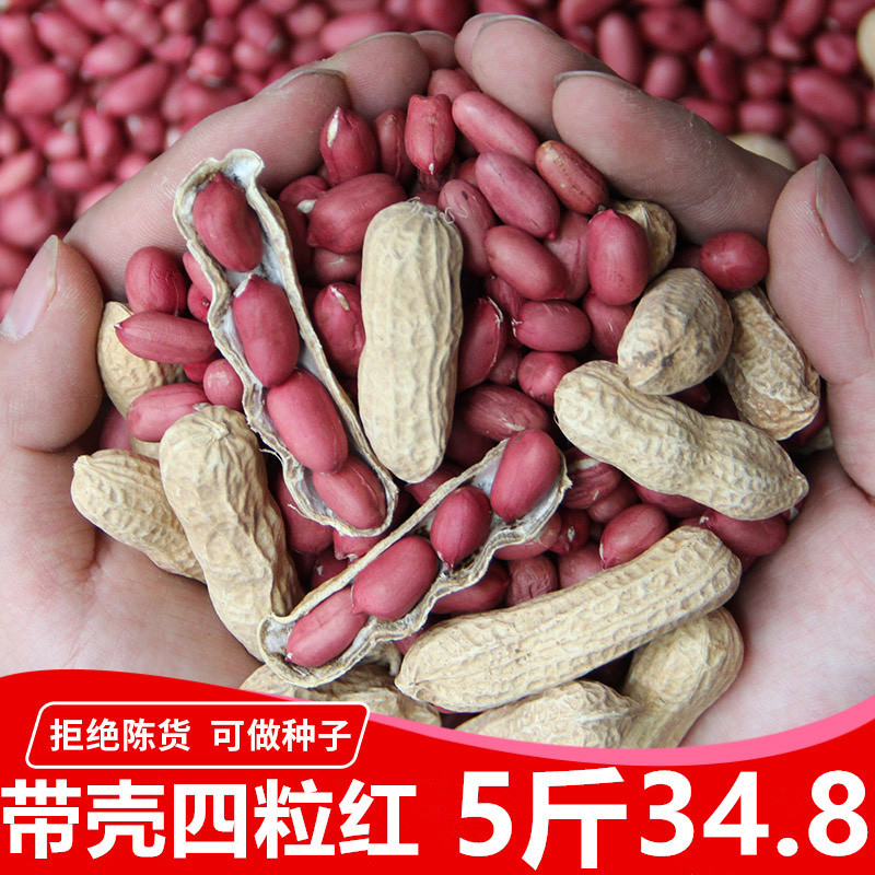 21 years of new goods with shell raw red coat peanuts red skin small raw peanuts Four red peanuts original fried red skin peanuts