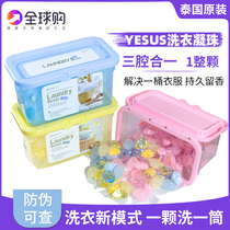 Thai yesus laundry gaze with powerful decontamination of bacteria trifoliate grass Remain with fragrant heartting pearl-washed clothes nursing care color