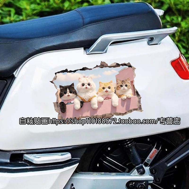 遮丑贴正确使用工艺有啥地些？2025年热门操作指南揭秘