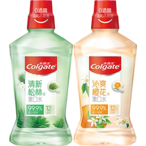 Colgate Mouthwash Cool Vitality Mint Flavor 500ml*2 Bottles Fresh Mouth Temperature Mild No Stimulation Bacteria Reduction