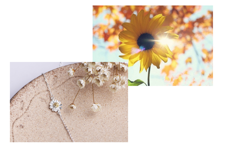 Chaine de cheville Femme en Argenterie - Ref 3104370 Image 10