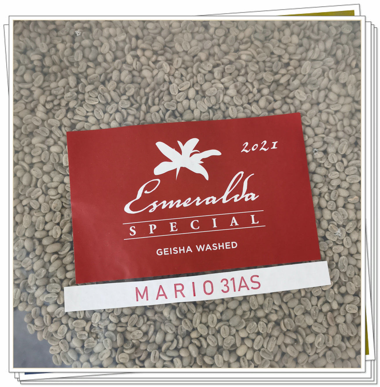 2021 new season Panama Emerald Manor Red Label Guoxia Washed Specialty Coffee Green Beans 500g